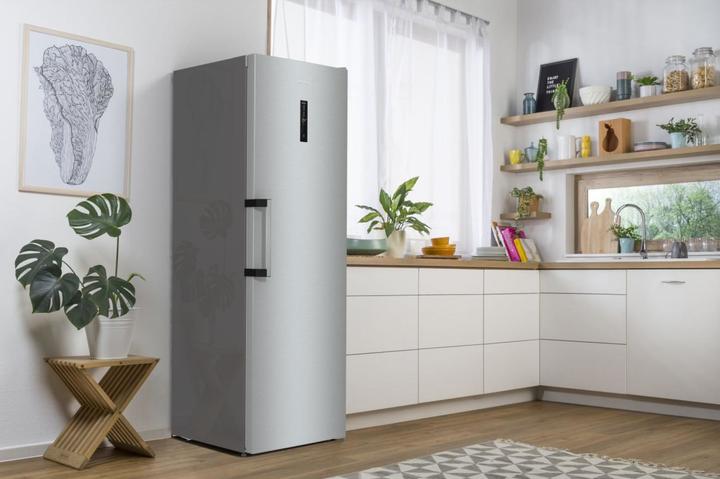 Image du produit Gorenje Chłodziarka R619EAXL6 (398 l)