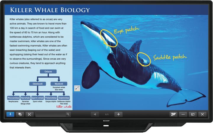 Immagine prodotto Sharp BIG PAD PN-80TC3 - 203,2 cm (80") di diagonale classe display LED - interattivo - con (1920 x 1080 pixel, 80")