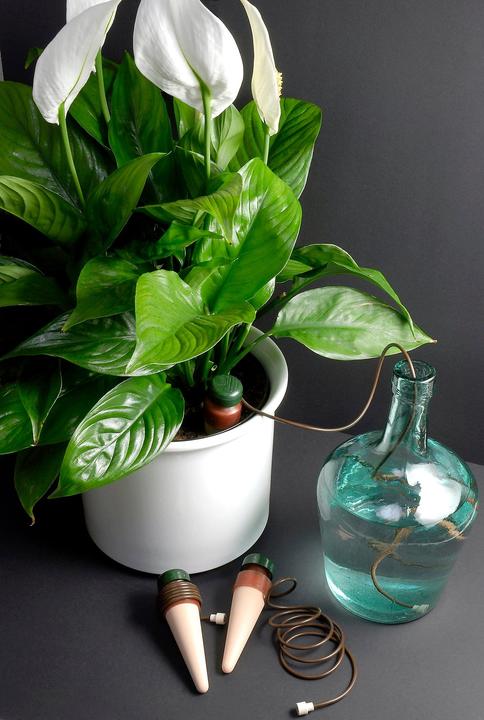 Actual product image Blumat Water dispenser (Clay cone)