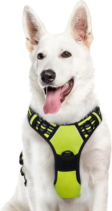 Image du produit Eagloo Harnais pour chien (XL, Chien, Général, Promenade)