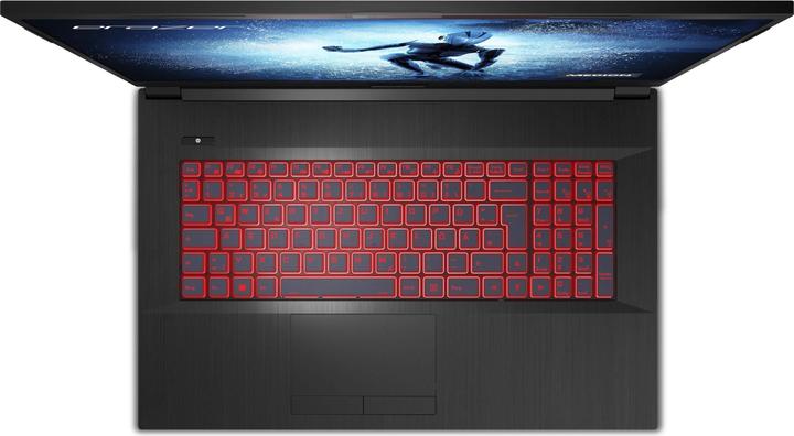 Actual product image Medion Erazer Defender P15 (17.30", AMD Ryzen 7 5800H, 16 GB, 1000 GB, CH)