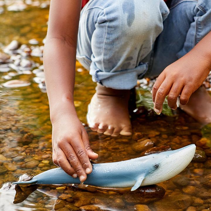 Actual product image Schleich Blue whale