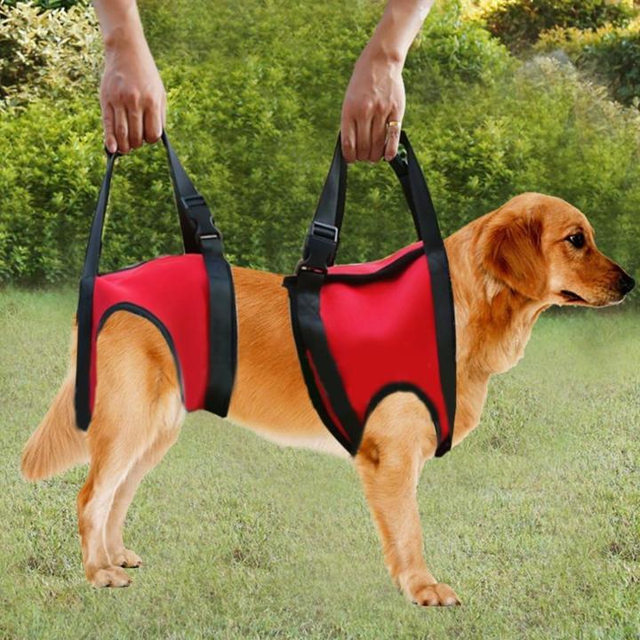 Image du produit Filfeel Hunde-Tragehilfe für Vorderbeine (M, Chien)