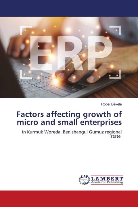 Image du produit Factors affecting growth of micro and small enterprises (Robel Bekele, 2023)