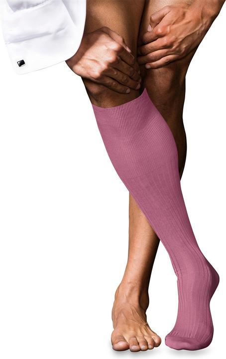 Falke No. 10 KH