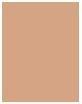 Immagine prodotto Estée Lauder Double Wear Stay-In-Place (4W3 Siena)