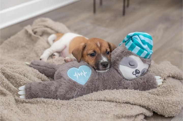 Actual product image Trixie Sloth with a heartbeat (Dog chew toy)
