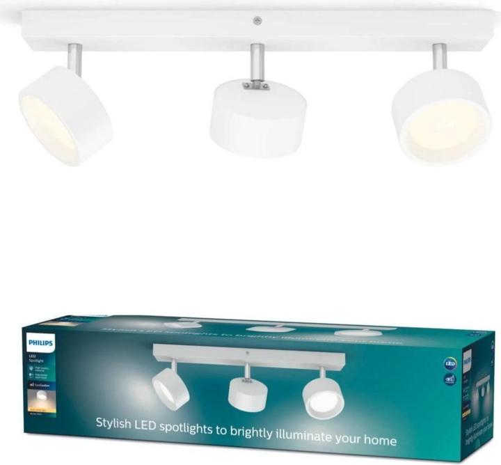 Actual product image Philips LED Bracia (1650 lm)