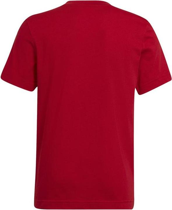 Produktbild adidas Entrada 22 T-Shirt Kinder (152)