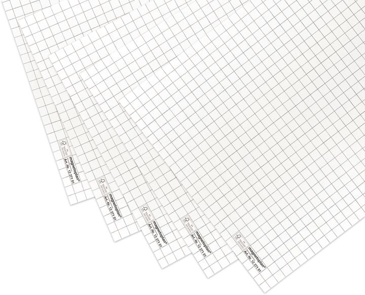 Magnetoplan Flipchartpapier 100 Blatt