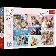 Immagine prodotto Trefl Mondo dei gatti puzzle (100 pezzi)