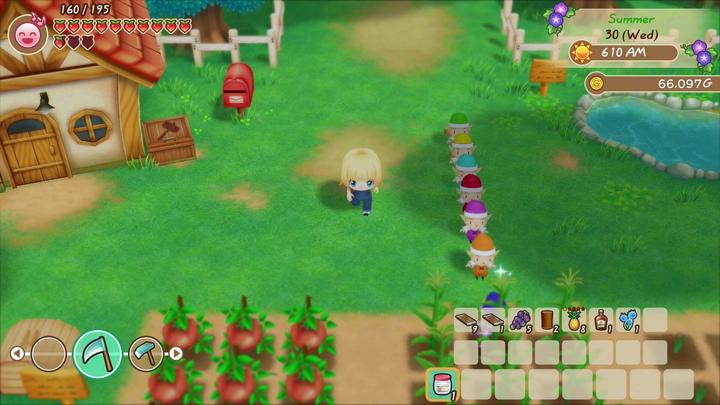 Actual product image Marvelous Story of Seasons : Friends of Mineral Town (Switch, FR)