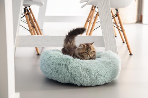 Image du produit Beeztees Lit en peluche pour chaton Vako (Chat)