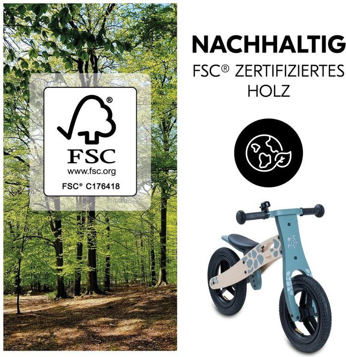 Actual product image Hauck Balance N Ride (12")