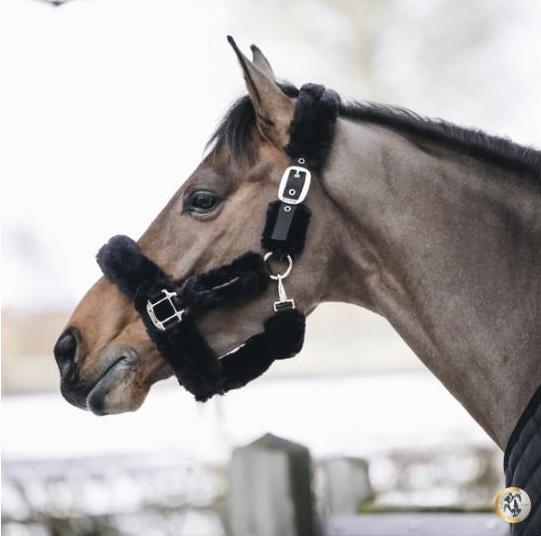 Image du produit Kentucky Horsewear Licol en peau d'agneau