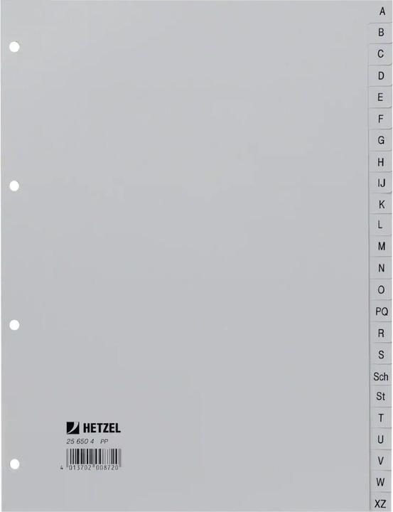 Image du produit Rexel Répertoire en plastique pour A4