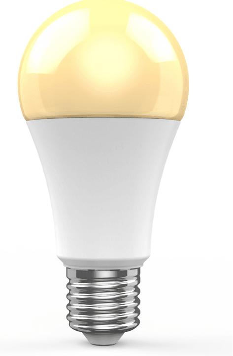 Image du produit Woox Ampoule (E27, 10 W, 806 lm, 1 x, G)