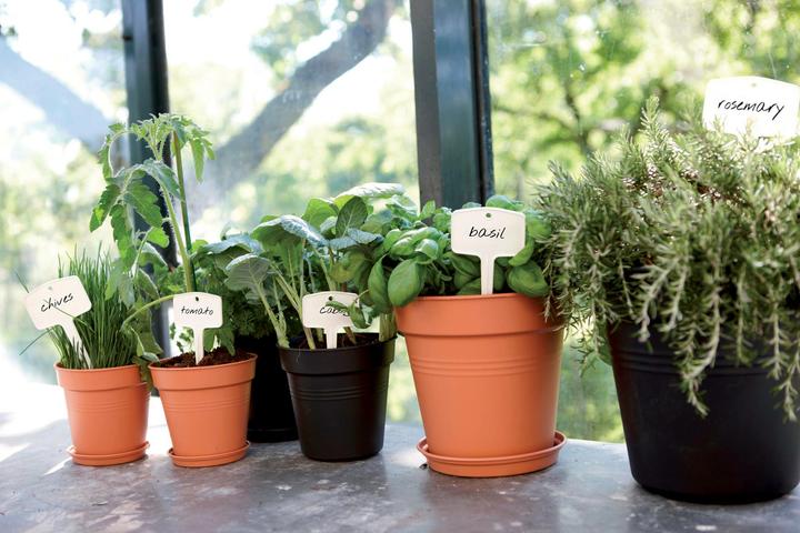 Produktbild Elho Green Basics (24 cm)