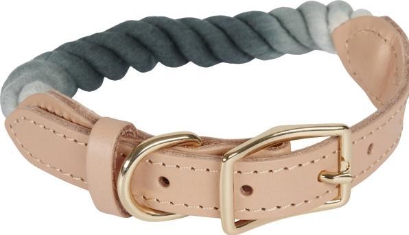 Image du produit Companion col multicolore - S : 23-35 cm (S, Chien)