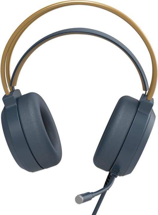 Freaks and Geeks Hogwarts Legacy - Casque de jeu filaire pour PC/Xbox One/SeriesX/S/PS4/PS5/Switch (Kabelgebunden)