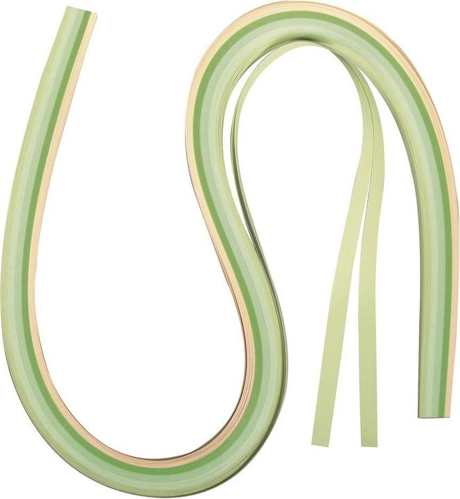 Image du produit Rayher Papier pour quilling vert / beige