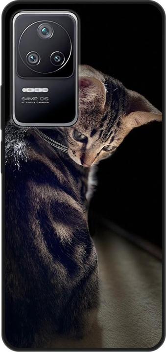 Young cat