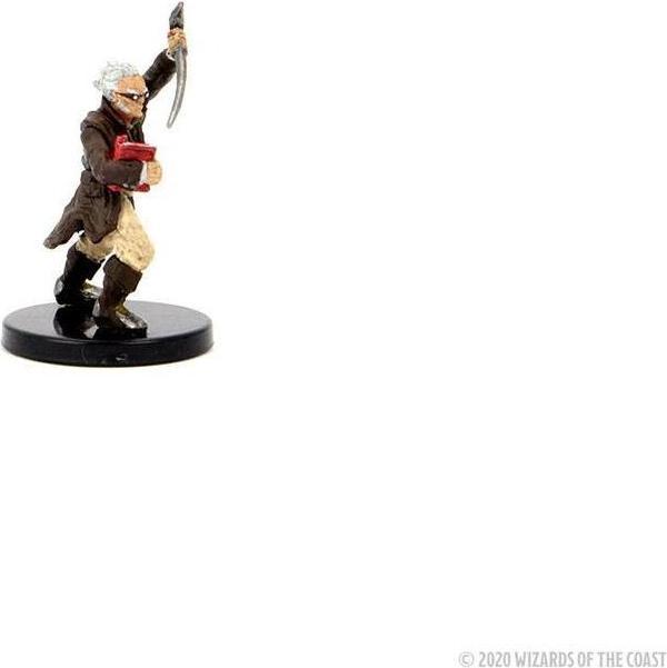 Produktbild Wizkids D&D Icons of the Realms : Curse of Strahd miniatures Legends of Barovia Premium Box Set