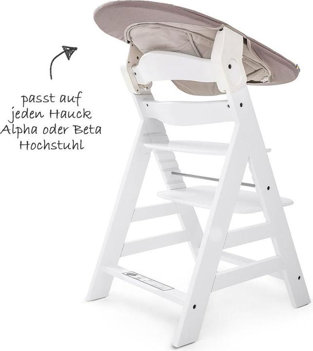 Actual product image Hauck Alpha Bouncer 2in1