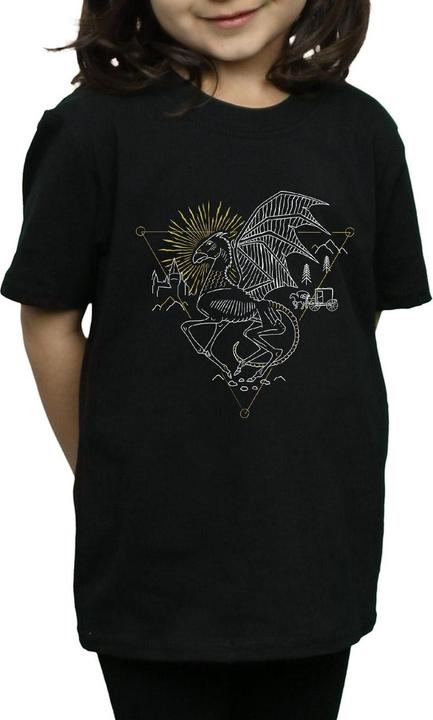 Actual product image Girls Thestral Line Art Cotton T-Shirt (128)