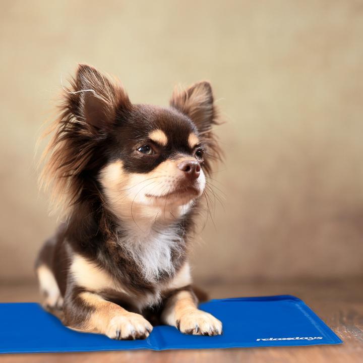 Produktbild Relaxdays Kühlmatte (Hund)