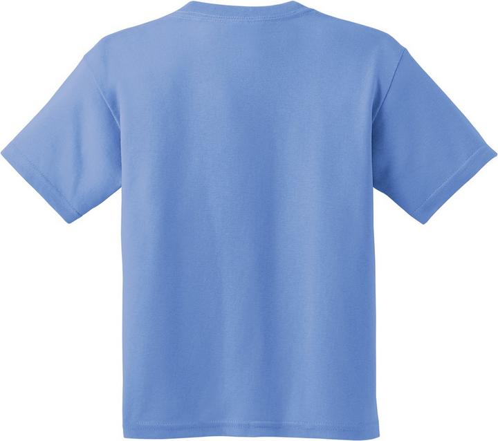 Actual product image Gildan Tshirt (2 piece pack) (L)