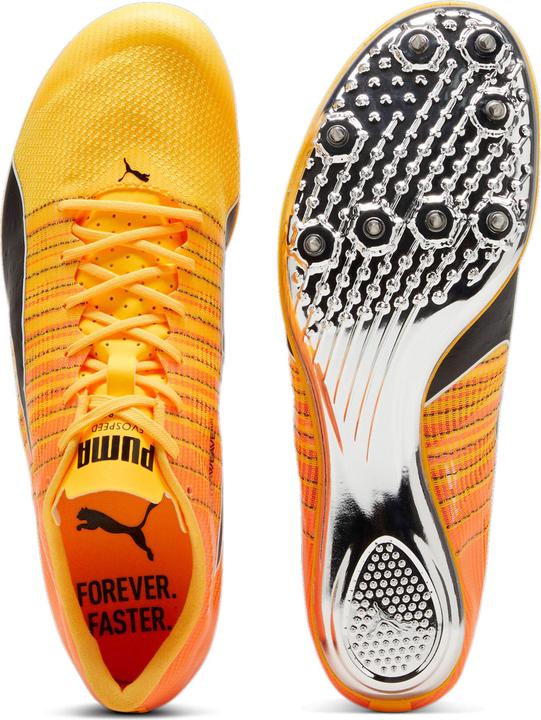 Produktbild Puma evoSPEED BRUSH 6 (42)