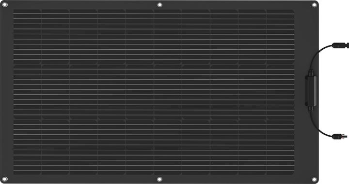 EcoFlow Pannello solare (100 W, 2.30 kg)