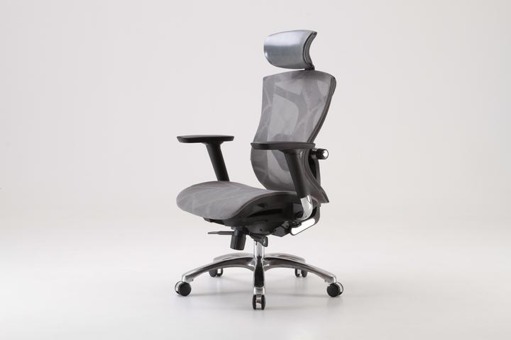 Immagine prodotto Sihoo V1 Ergonomic Office Chair, gray