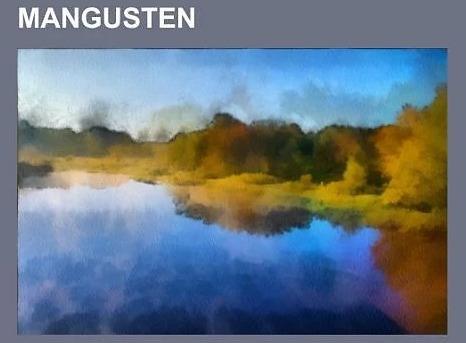 Immagine prodotto Mangusten (Tedesco, Libri LLC, 2014)