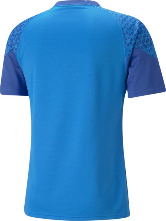 Actual product image Puma teamCUP Training Jersey (XXL)