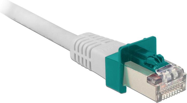 Immagine prodotto Delock Clip di bloccaggio RJ45 Set di 40 (Accessori per cavi)