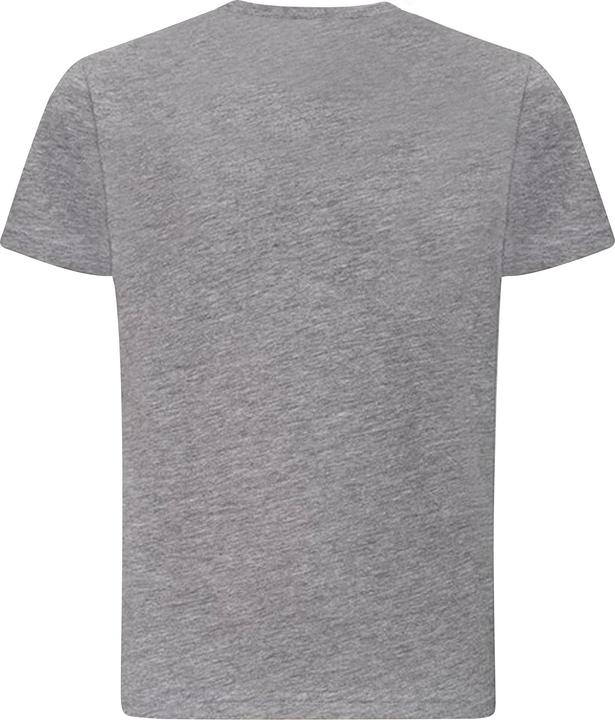 Actual product image Awdis Childrens/Kids Just Ts The 100 T-Shirt (XS)