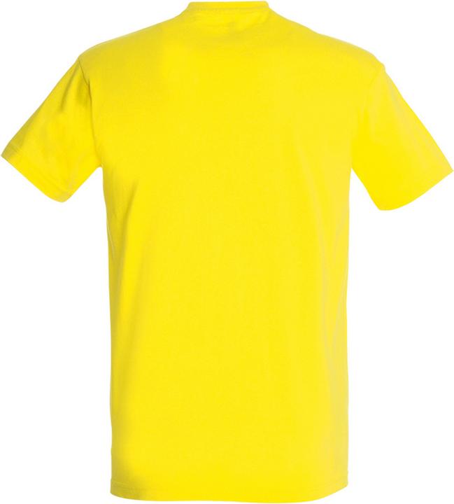 Image du produit Sols UTPC290 P (L)