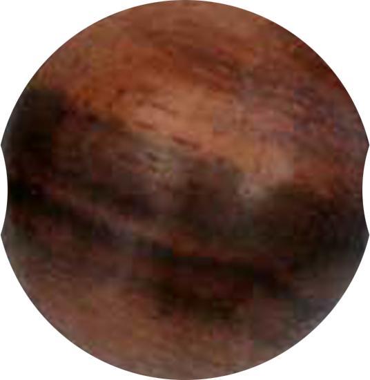 Produktbild Star Piercing Ball Closure Kugel aus Narra Holz (ohne Messing, Organisch)