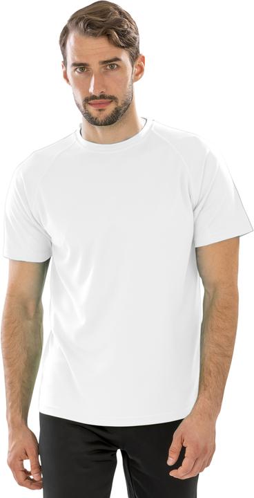 Image du produit Spiro UTPC3166 P (L)