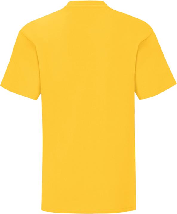 Image du produit Fruit of the Loom UTPC3388 P (164)
