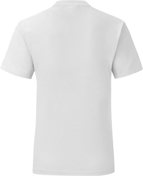 Image du produit Fruit of the Loom T-shirt Iconic (M)