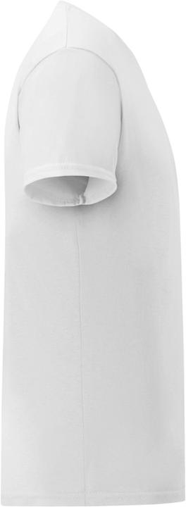 Image du produit Fruit of the Loom T-shirt Iconic (M)