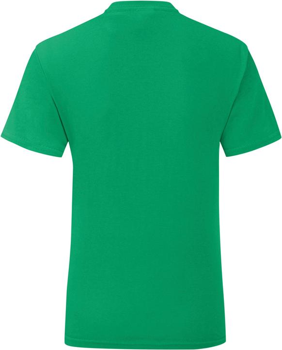 Produktbild Fruit of the Loom UTPC4369 P (3XL)