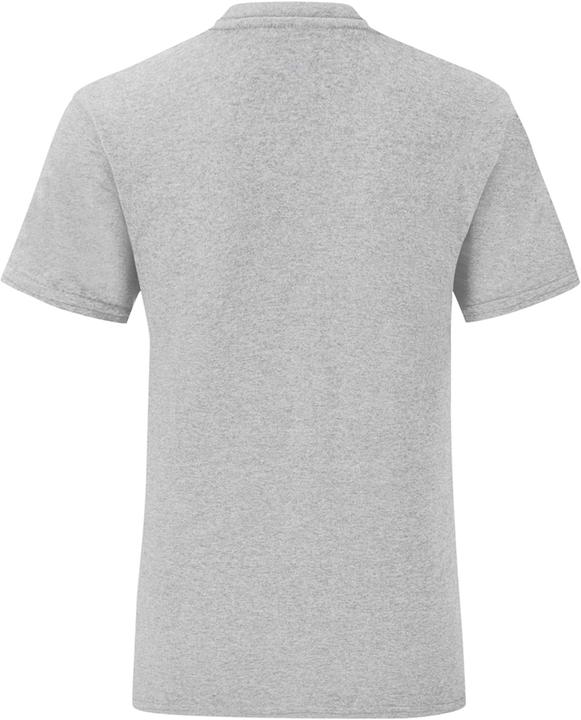 Image du produit Fruit of the Loom T-shirt Iconic (3XL)