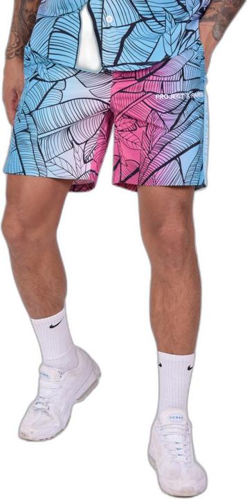 Project X Paris shorts (XL)