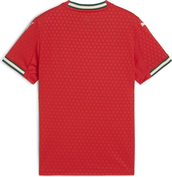 Puma FPF Home Jersey Replica Jr (176)