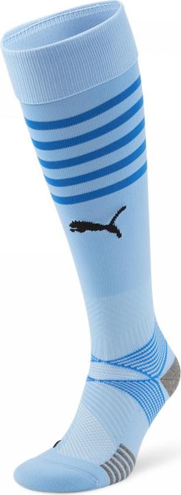 Actual product image Puma teamFINAL Socks (39 - 42)