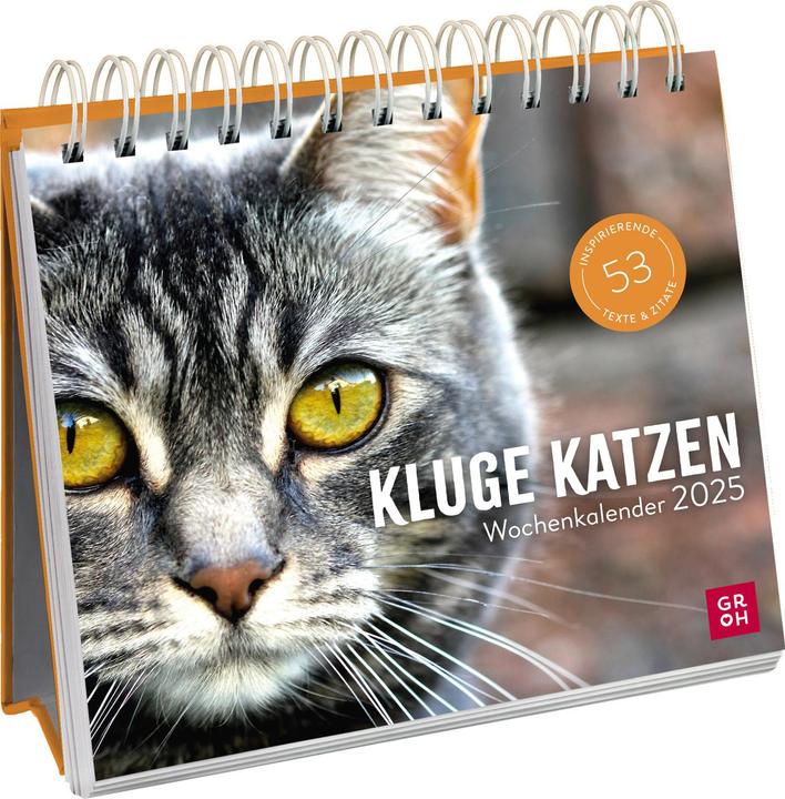 Produktbild Wochenkalender 2025: Kluge Katzen (Harter Einband, Deutsch)